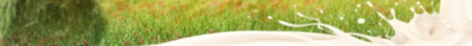 header6